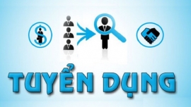 tuyen ctv ban hang online